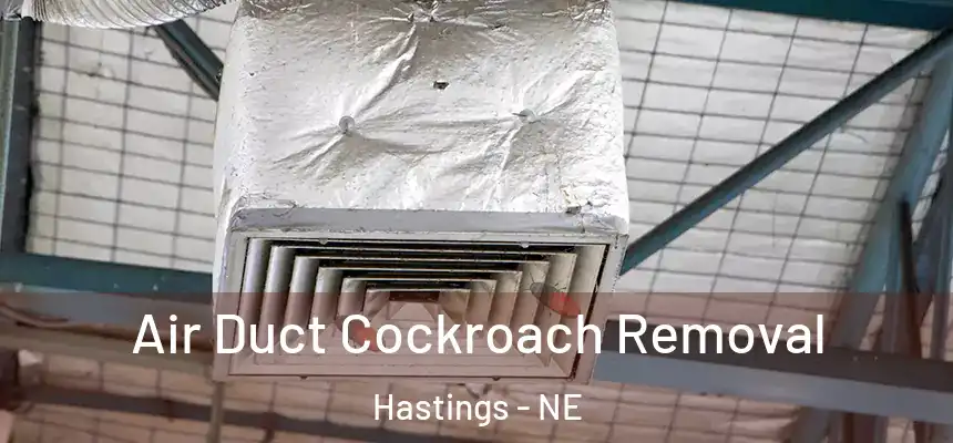  Air Duct Cockroach Removal Hastings - NE