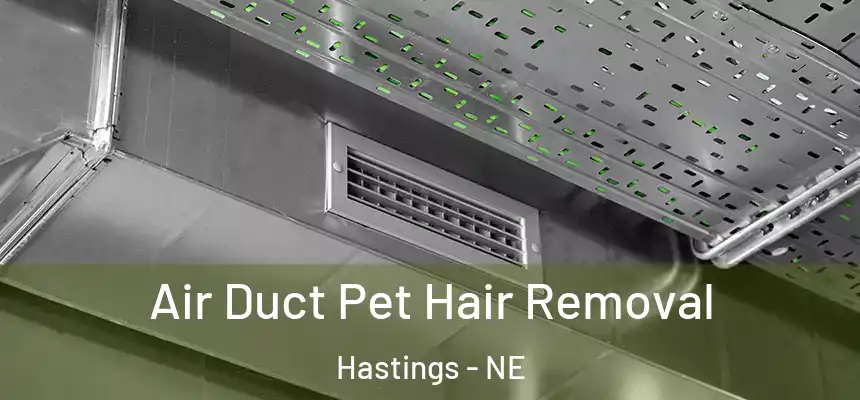  Air Duct Pet Hair Removal Hastings - NE