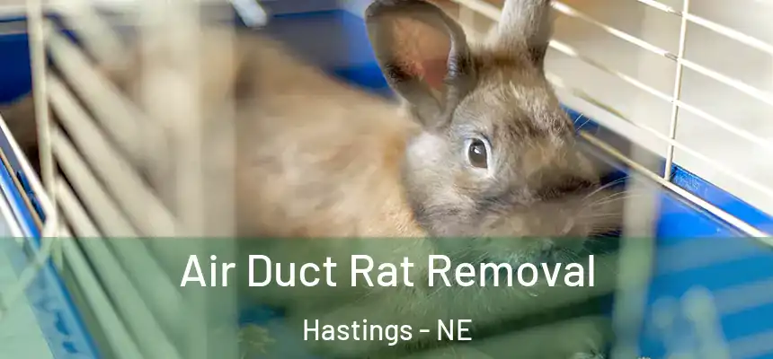 Air Duct Rat Removal Hastings - NE