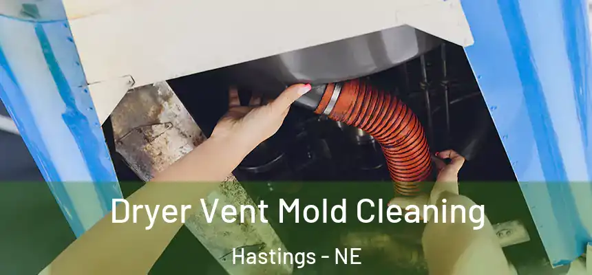 Dryer Vent Mold Cleaning Hastings - NE