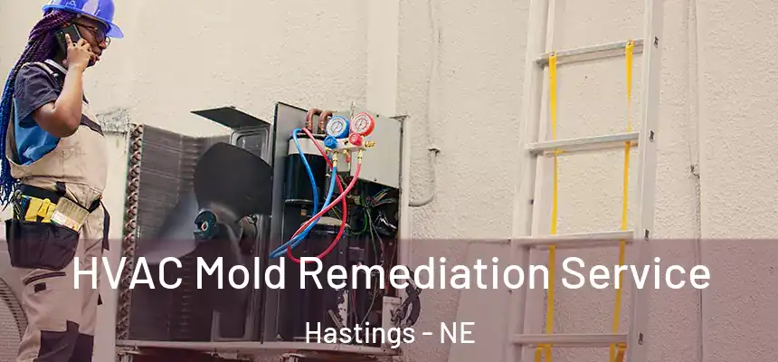  HVAC Mold Remediation Service Hastings - NE