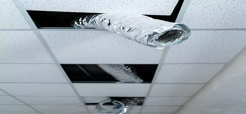 Our Air Duct Pet Hair Removal Services in Hastings, NE