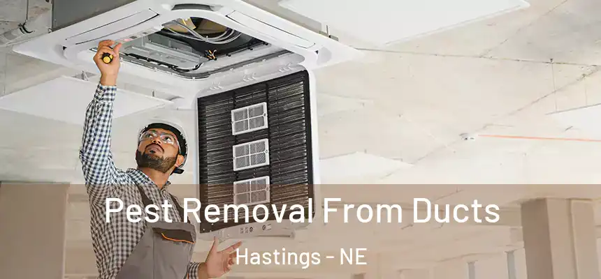Pest Removal From Ducts Hastings - NE