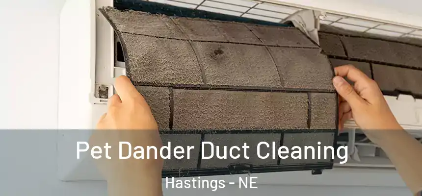 Pet Dander Duct Cleaning Hastings - NE
