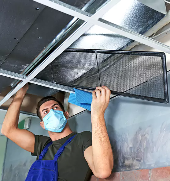 About Air Duct Bacteria Removal in Hastings