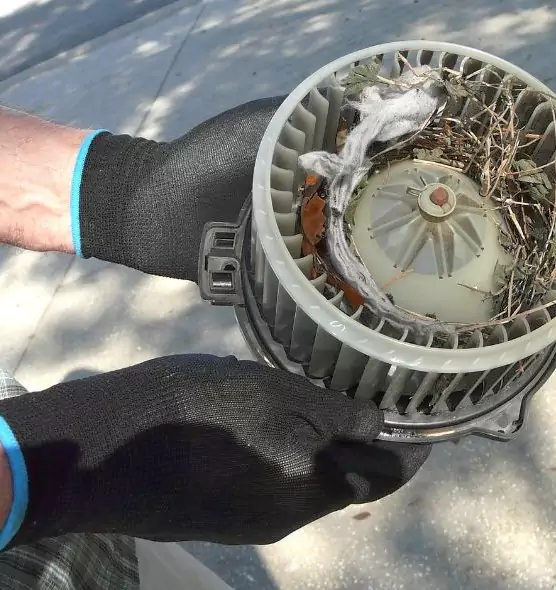 About Air Duct Mice Removal in Hastings, NE