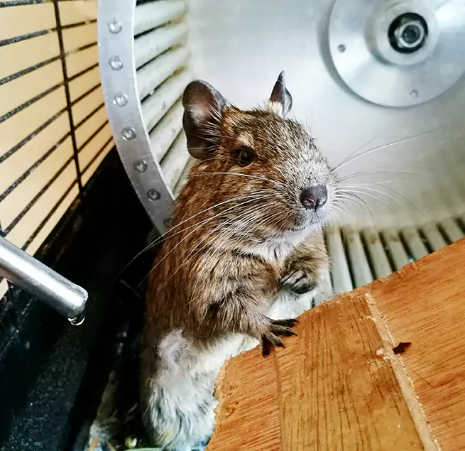 Why Homeowners & Businesses Trust Us Hastings, NE